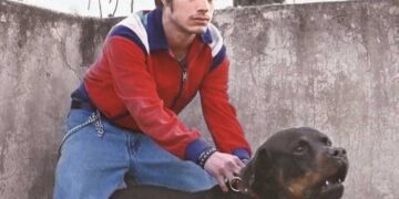 Vuelve Amores Perros a la pantalla grande