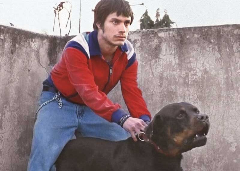 Vuelve Amores Perros a la pantalla grande