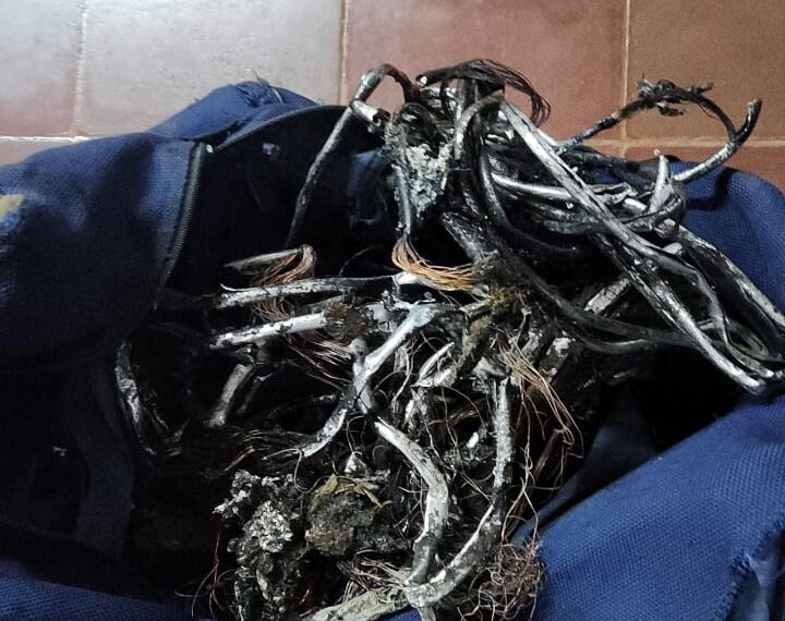 La Policía frustró el robo de cables en Posadas y arrestó por segunda vez al mismo delincuente