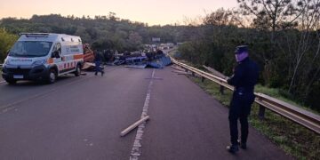 Despistó un camión cargado con madera en la ruta 14 y el tránsito fue interrumpido