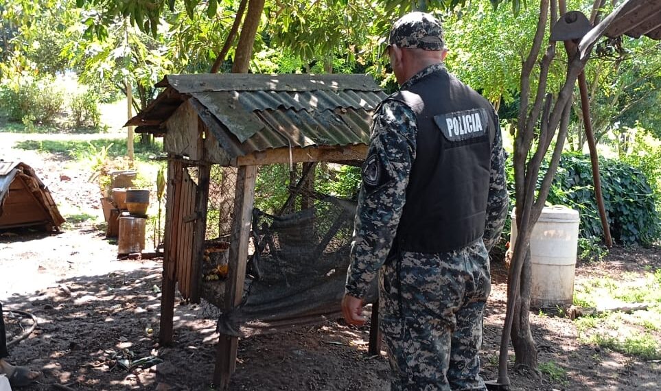 Rescataron un tucán y un mono capuchino en el centro de Misiones
