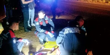 Colisión entre motocicleta y un animal vacuno dejó un herido en la Ruta Provincial 221