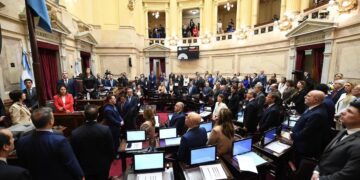 El Senado rechazó los vetos al Garrahan y financiamiento a universidades