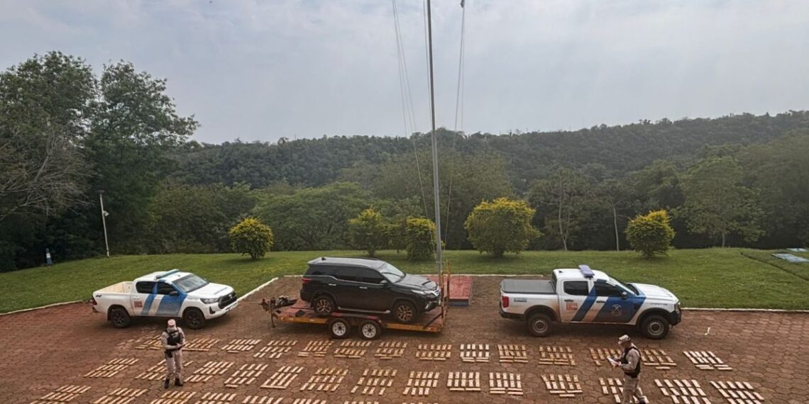 Iguazú: incautaron drogas valuadas en más de $2.400 millones