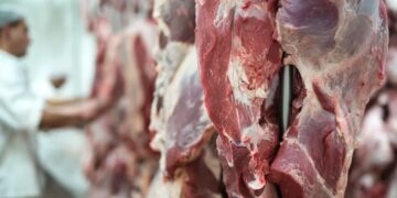 El gobierno de EEUU analiza cuadruplicar la cuota de importación de carne vacuna argentina a 80.000 toneladas