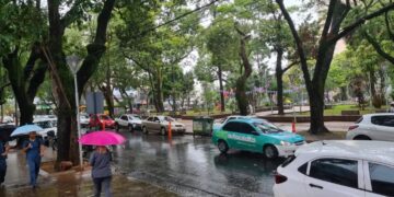 Viernes con lluvias y tormentas,pero mejora el fin de semana con sol y temperaturas primaverales
