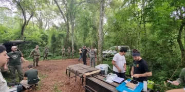 La yaguareté Pará y sus cachorros fueron reubicados en un área protegida