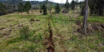 Ponen en marcha la restauración del Parque Provincial Foerster en Andresito