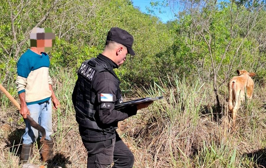 Rápido rastrillaje policial permitió recuperar un animal vacuno robado en Bonpland