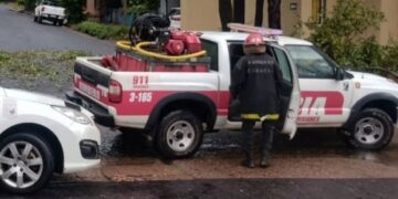 Temporal en Misiones provocó caída de árboles, cables y daños estructurales en varios municipios