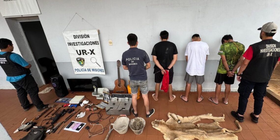 Confirmaron que el pelaje secuestrado en Posadas pertenece a un puma en peligro de extinción