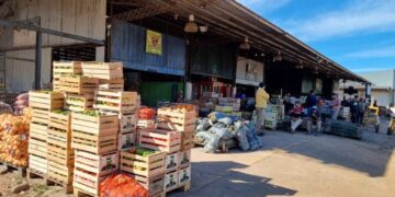 Ahora ya se puede comprar por kilo o por unidad en el Mercado Central