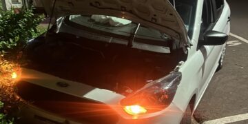 Un automóvil despistó sobre la avenida Corrientes en Posadas
