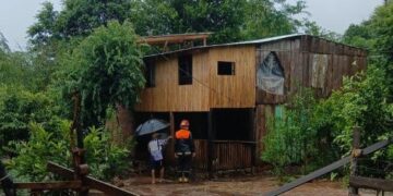 Temporal provocó desborde de arroyos en caída de árboles en Misiones
