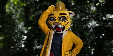Prevención de incendios: Misiones refuerza su estrategia anual con la campaña «No me quemés»
