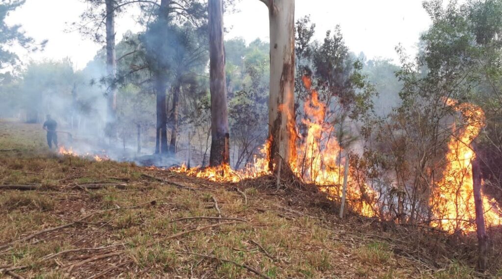 Misiones puso en marcha el sistema de Alerta Temprana de incendios forestales
