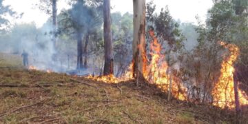 Misiones puso en marcha el sistema de Alerta Temprana de incendios forestales