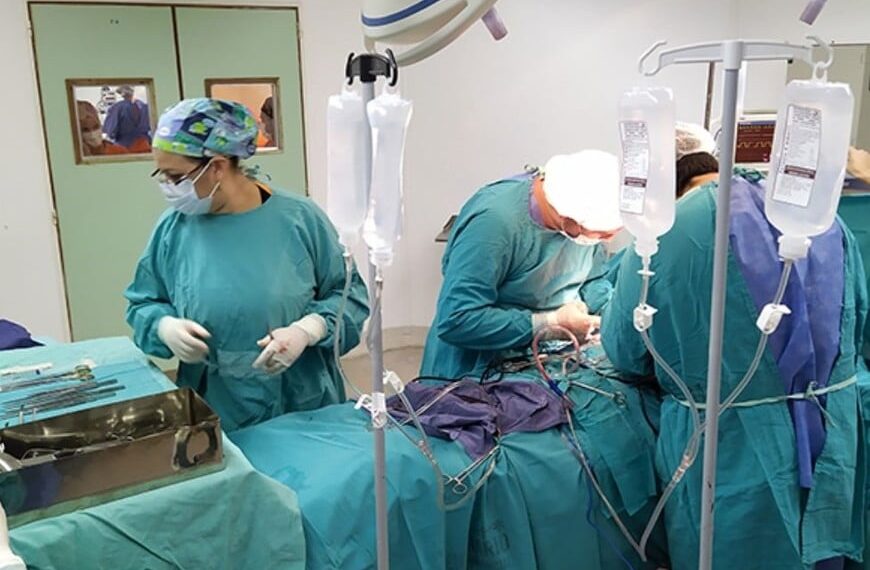 Argentina superó la cifra histórica de donantes de órganos y de trasplantes realizados en el país