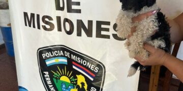 Un delincuente reincidente, junto a tres menores, amenazó con asfixiar a un caniche robado para no ser detenido