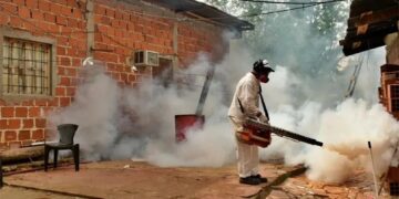 Posadas: Continúan las acciones para reducir la proliferación del Aedes aegypti