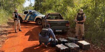 Incautaron droga valuada en más de $492 millones en Puerto Libertad