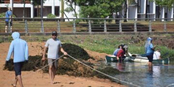 Realizan tareas de limpieza en El Brete ante apariciones de algas