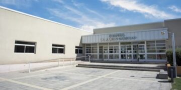 Gripe H3N2: confirmaron la primera muerte en la Argentina tras un caso detectado en Mendoza