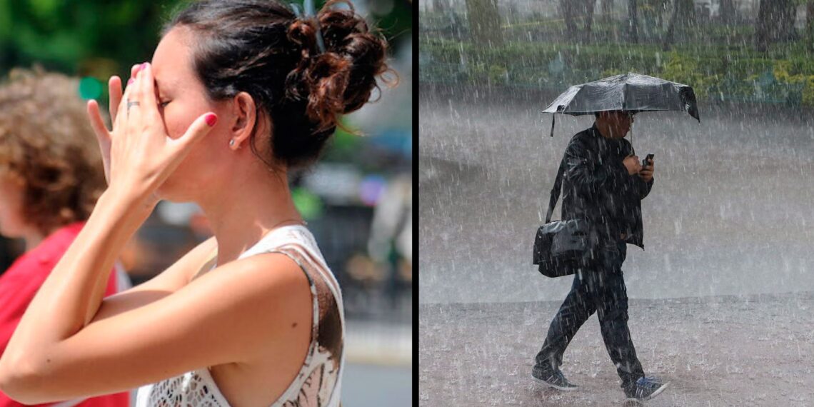 Calor extremo y riesgo crítico de incendios en Misiones: las lluvias llegarían recién el miércoles