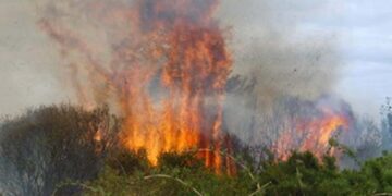 Misiones en alerta por incendios: recuerdan prohibición de todo tipo de quemas