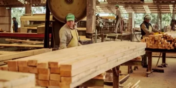 Corrientes: la forestal Tapebicuá entró en concurso preventivo de crisis