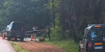 Investigan el caso de una mujer que se habría arrojado desde un mirador en Aristóbulo del Valle