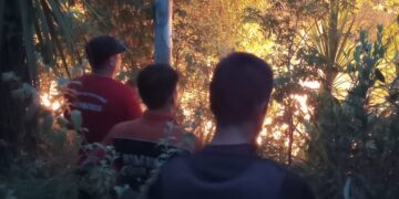 Controlaron un Incendio forestal en una plantación de eucaliptos en Santo Pipó