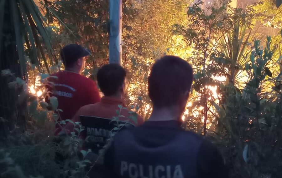 Controlaron un Incendio forestal en una plantación de eucaliptos en Santo Pipó