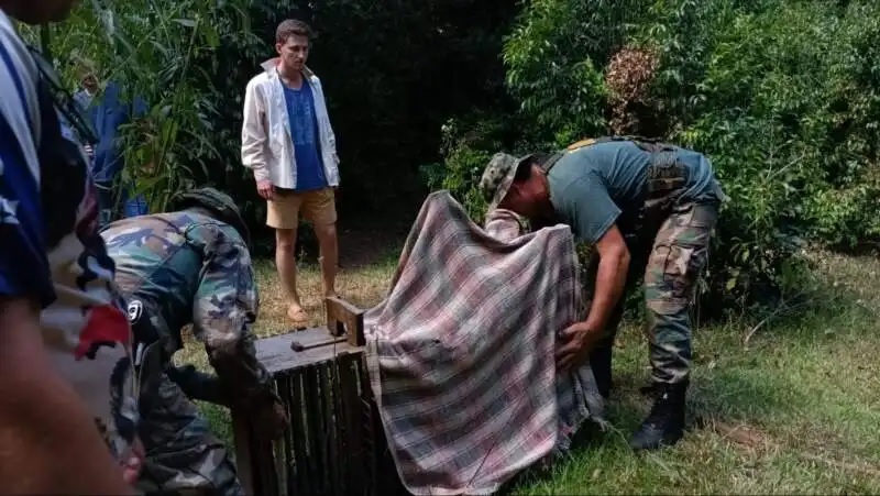Guardaparques relocalizaron un ejemplar de margay en Comandante Andresito