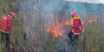 Misiones declaró la Emergencia Ígnea y prorrogó la Emergencia Hídrica durante todo 2026