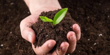 Misiones avanza en planificación productiva con estudio de 330 mil hectáreas