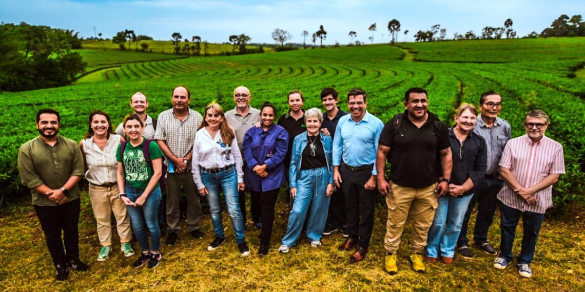Misiones avanza con un plan estratégico para posicionar el té gourmet