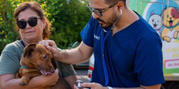 Posadas: difunden cronograma de atención veterinaria del Imusa en los barrios