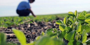 El agro y la matriculación profesional: una garantía para la sociedad y la calidad del ejercicio