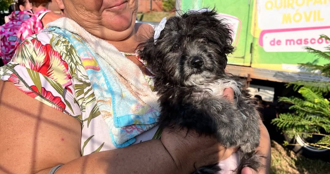 El IMUSA fortalece la atención veterinaria en los barrios