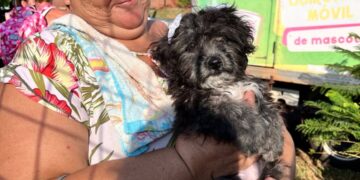 El IMUSA fortalece la atención veterinaria en los barrios