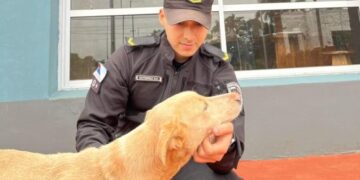 Video viral expuso abandono y la Policía rescató al animal en Campo Viera