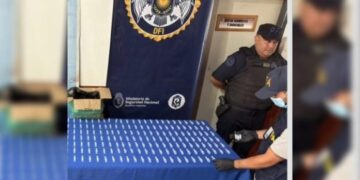 Incautan una carga de fentanilo valuada en 660 millones de pesos en Puerto Esperanza