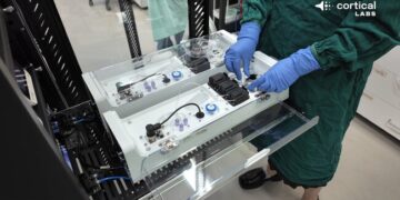 Crean la primera computadora con neuronas humanas: para qué sirve y cuánto vale