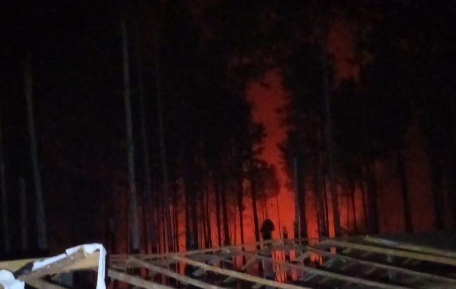 Controlaron un incendio de pinar en Caraguatay
