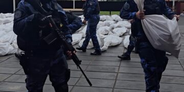 Más de 2.300 armas incautadas en delitos en Misiones serán enviadas a destrucción