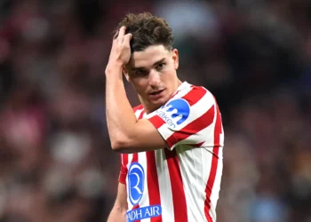 Alivio en la Selección: la lesión de Julián Álvarez no sería grave
