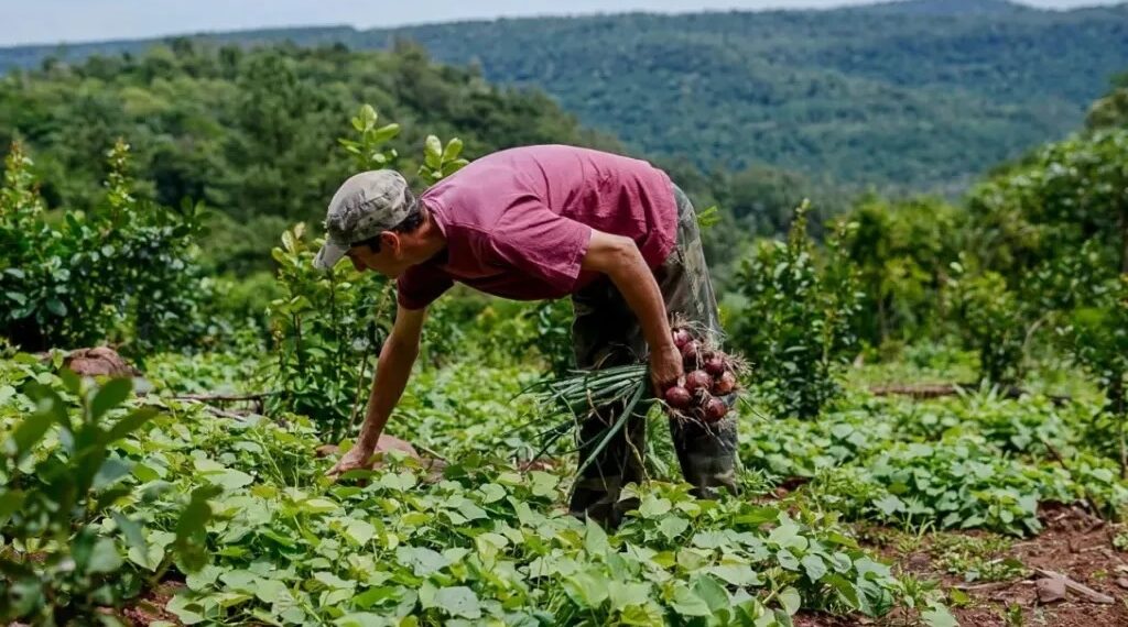 “El programa Ahora Chacra beneficiará a 25 mil pequeños productores misioneros”
