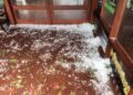 Un fuerte temporal con granizo generó destrozos en el Parque Provincial del Moconá
