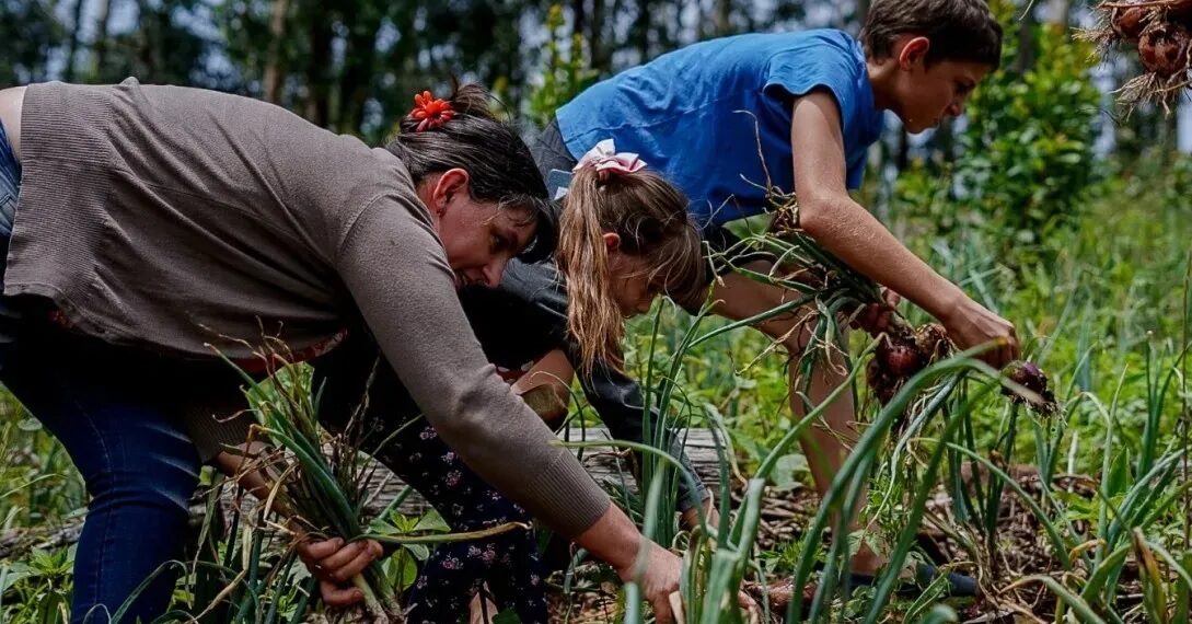 El lunes comienza el Ahora Chacra, destinado a productores agropecuarios